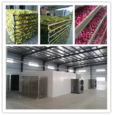 石家莊宏濤蔬菜食品干燥機 果蔬烘干設(shè)備價格解析與選購指南