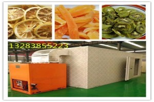 風(fēng)刀式烘干機 果蔬烘干領(lǐng)域的專業(yè)市場新勢力